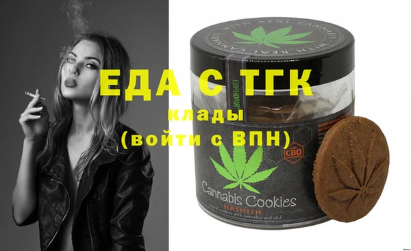 хмурый Алексин
